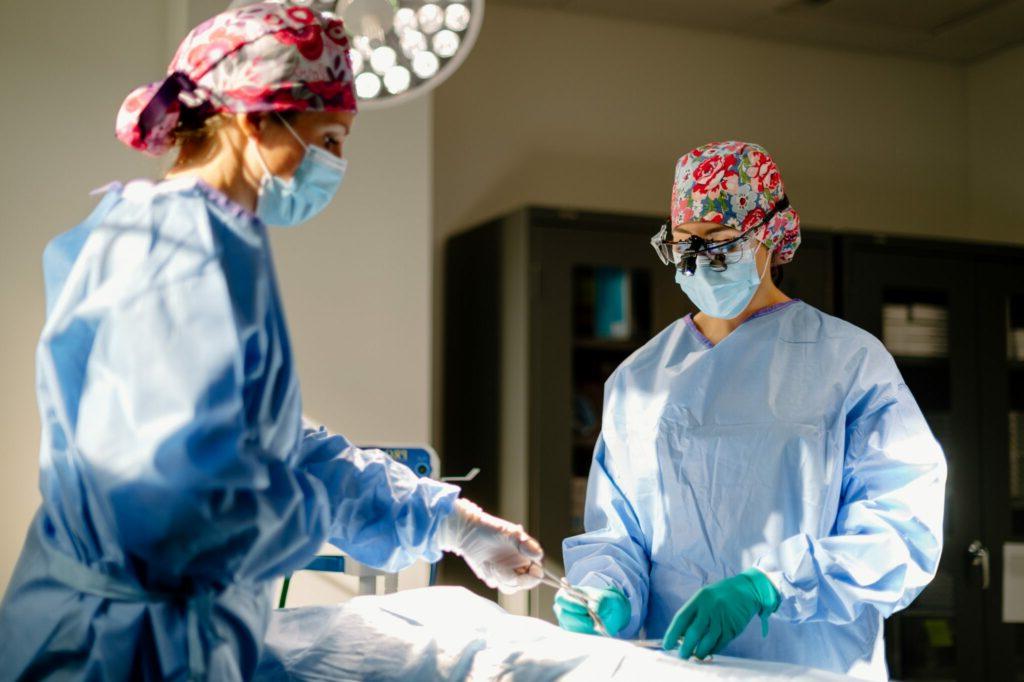 Tummy Tuck Surgeons Performing Procedure